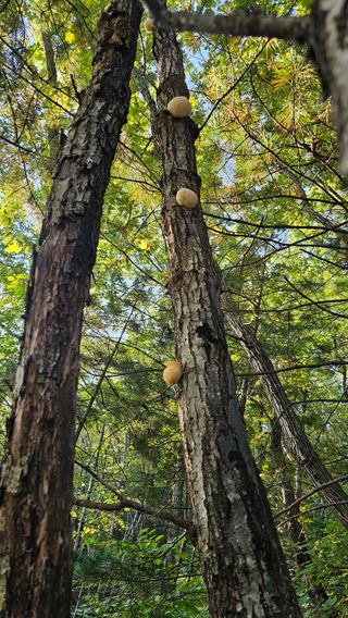 장철식님의 자유주제 · 자유게시판 작성글 사진