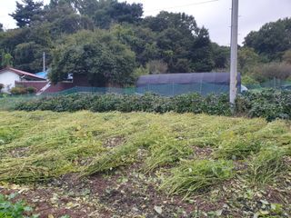 Kns4324님의 자유주제 · 자유게시판 작성글 사진