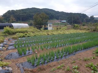 Kns4324님의 자유주제 · 자유게시판 작성글 사진