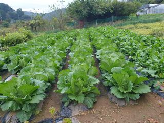 Kns4324님의 자유주제 · 자유게시판 작성글 사진