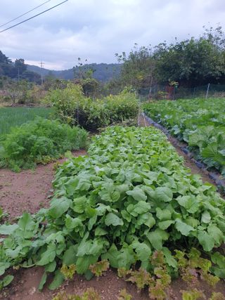 Kns4324님의 자유주제 · 자유게시판 작성글 사진