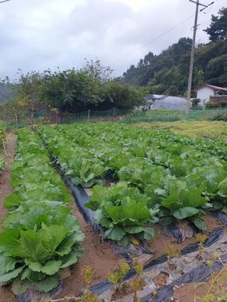 Kns4324님의 자유주제 · 자유게시판 작성글 사진