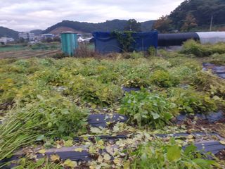 Kns4324님의 자유주제 · 자유게시판 작성글 사진