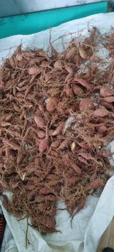 팜모닝 고구마·영농일지 게시글 이미지