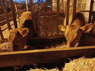 알 수 없음님의 자유주제 · 자유게시판 작성글 사진