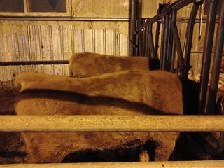 알 수 없음님의 자유주제 · 자유게시판 작성글 사진