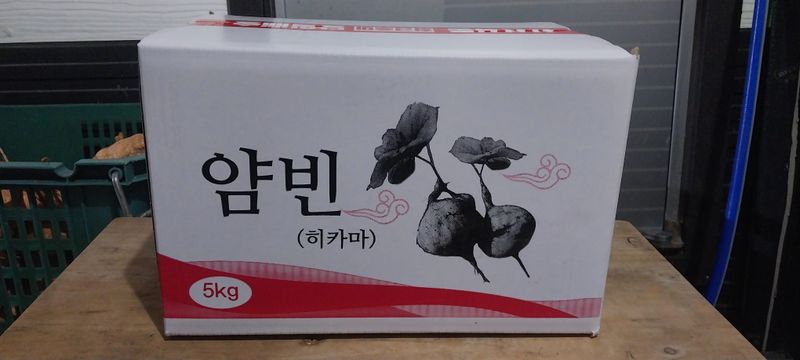 김가네 님의 장터 판매 상품 [히카마 5kg] 첨부 사진