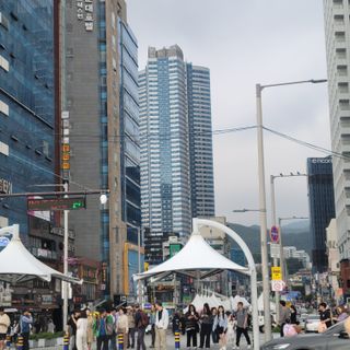 김선순(공룡자색마)님의 기타작물 · 영농일지 작성글 사진