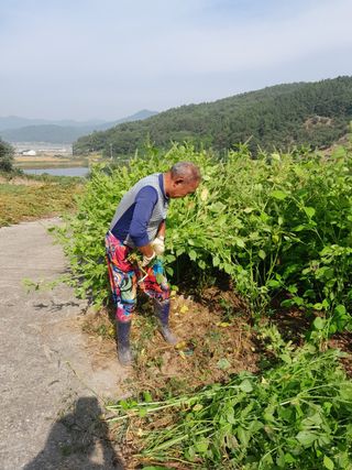 최계보님의 작성글 사진