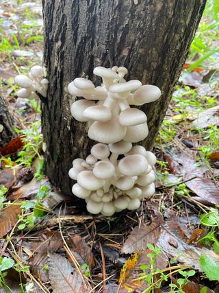 원영님의 자유주제 · 자유게시판 작성글 사진