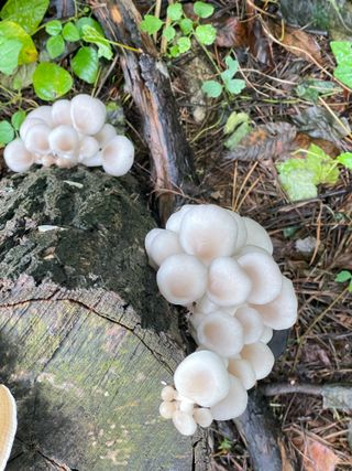 원영님의 자유주제 · 자유게시판 작성글 사진