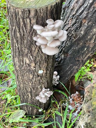 원영님의 자유주제 · 자유게시판 작성글 사진