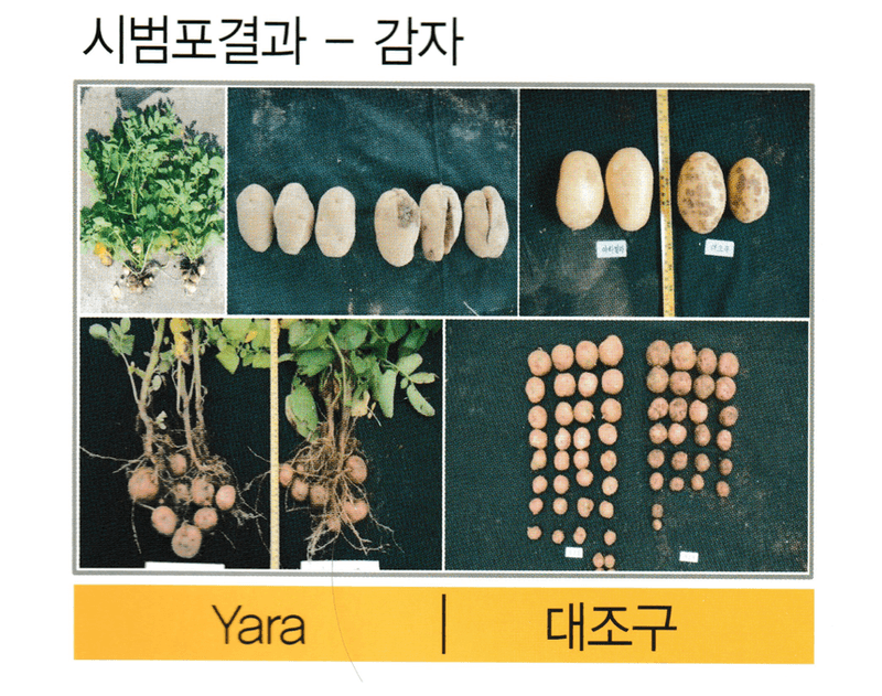 삼익농자재님의 장터 판매 상품 [[야라] 야라밀라 12/21 15kg NPK 복합비료 질소인산가리 밑거름] 첨부 사진
