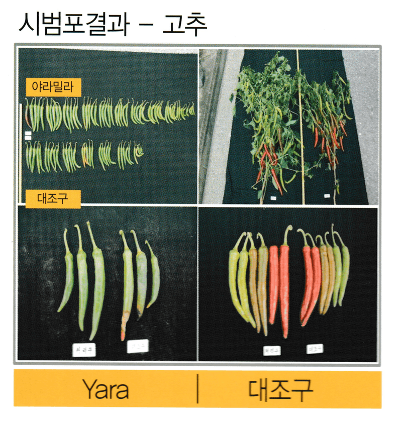 삼익농자재님의 장터 판매 상품 [[야라] 야라밀라 12/21 15kg NPK 복합비료 질소인산가리 밑거름] 첨부 사진
