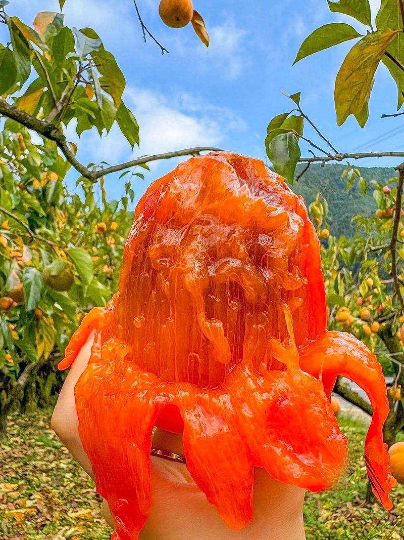 농부손녀님의 장터 판매 상품 [[특품] 꿀뚝뚝 대봉 홍시 5kg 10kg 15kg ] 첨부 사진