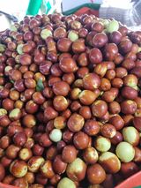 팜모닝 자유주제·자유게시판 게시글 이미지