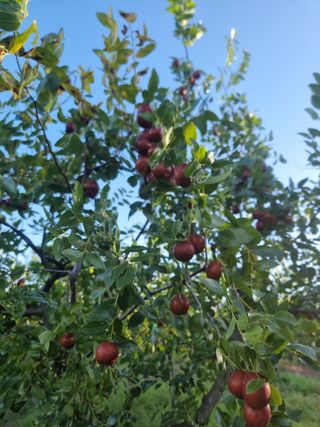 유재현님의 자유주제 · 자유게시판 작성글 사진
