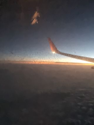 유재현님의 자유주제 · 자유게시판 작성글 사진