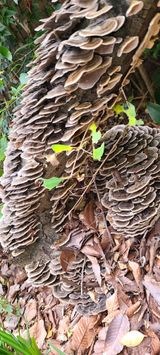 팜모닝 자유주제·사진전 게시글 이미지