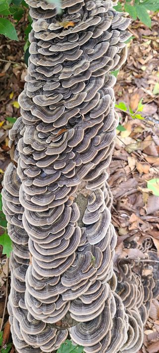 논농사바바알기님의 자유주제 · 사진전 작성글 사진