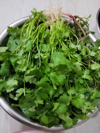 원빈님의 자유주제 · 자유게시판 작성글 사진