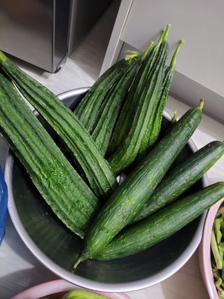 원빈님의 자유주제 · 자유게시판 작성글 사진