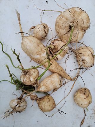 원빈님의 자유주제 · 자유게시판 작성글 사진