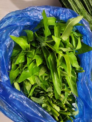 원빈님의 자유주제 · 자유게시판 작성글 사진