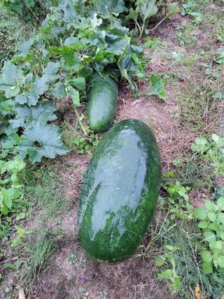 원빈님의 자유주제 · 자유게시판 작성글 사진