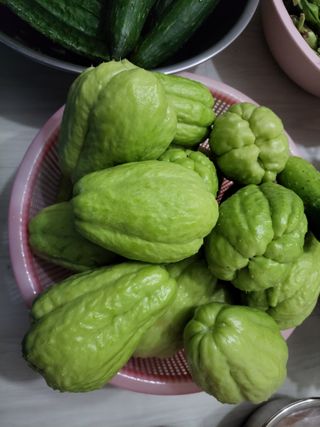 원빈님의 자유주제 · 자유게시판 작성글 사진