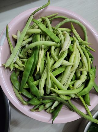 원빈님의 자유주제 · 자유게시판 작성글 사진