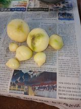 팜모닝 자유주제·자유게시판 게시글 이미지