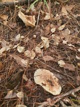 팜모닝 자유주제·자유게시판 게시글 이미지