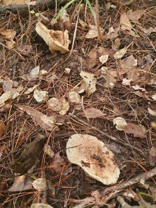 김철원,바람산인님의 자유주제 · 자유게시판 작성글 사진