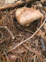 팜모닝 자유주제·자유게시판 게시글 이미지