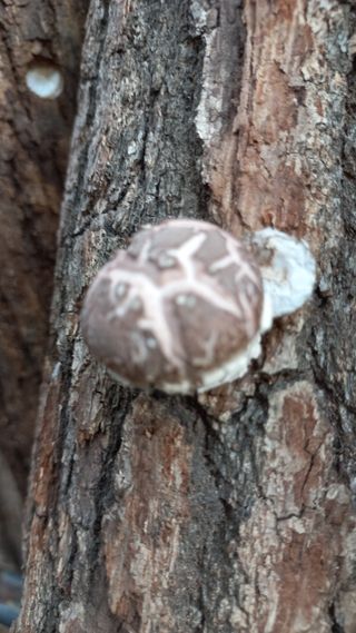 파란농원님의 작성글 사진