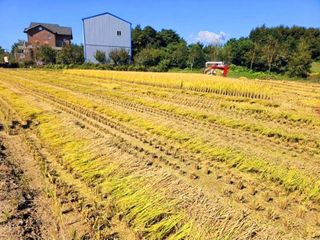 이미옥님의 가을 농사 후 토양 어떻게 관리하세요? · 참여글 작성글 사진