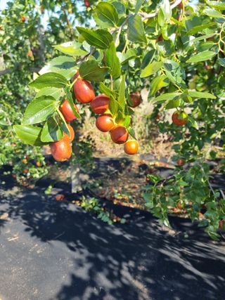유재현님의 자유주제 · 자유게시판 작성글 사진