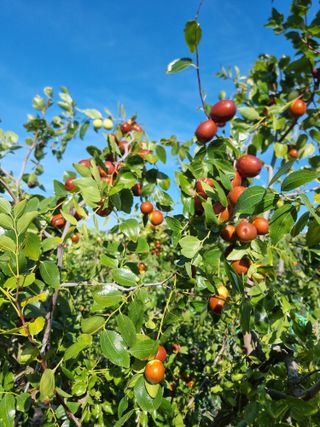 유재현님의 자유주제 · 자유게시판 작성글 사진