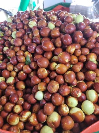 유재현님의 자유주제 · 자유게시판 작성글 사진