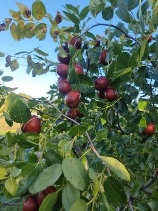 유재현님의 자유주제 · 자유게시판 작성글 사진