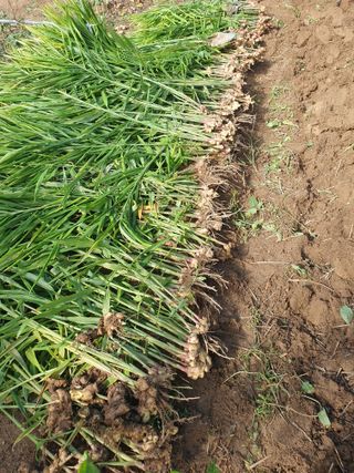 주옥님의 자유주제 · 자유게시판 작성글 사진