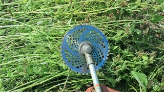 김진엽님의 들깨 · 영농일지 작성글 사진