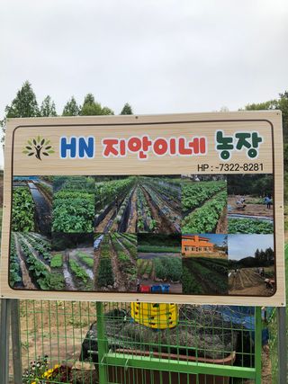 지안이/손주농장주인님의 팜모닝 · 출석 작성글 사진