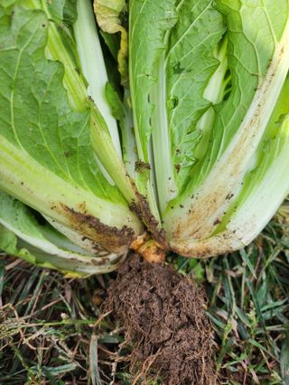 이순원님의 자유주제 · 자유게시판 작성글 사진