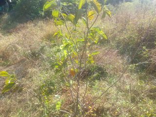 박석중님의 자유주제 · 자유게시판 작성글 사진