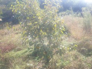 박석중님의 자유주제 · 자유게시판 작성글 사진