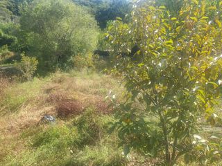 박석중님의 자유주제 · 자유게시판 작성글 사진