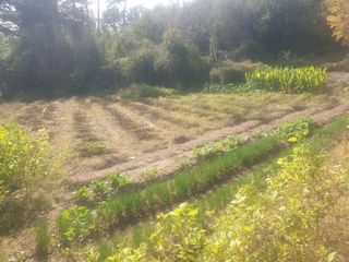 박석중님의 자유주제 · 자유게시판 작성글 사진