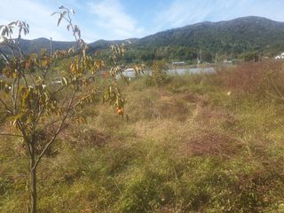 박석중님의 자유주제 · 자유게시판 작성글 사진